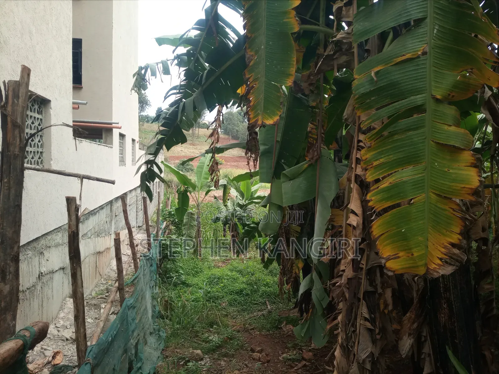 Residential/Commercial Plot