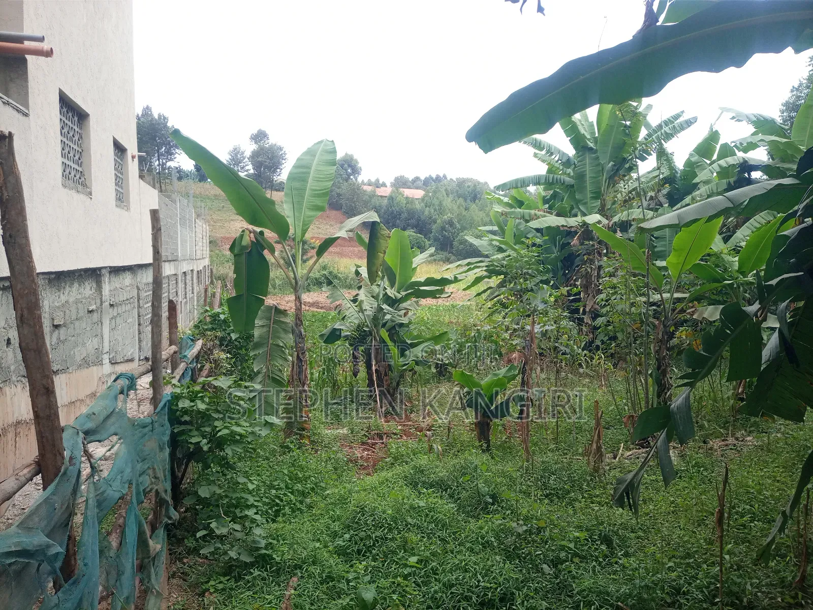 Residential/Commercial Plot