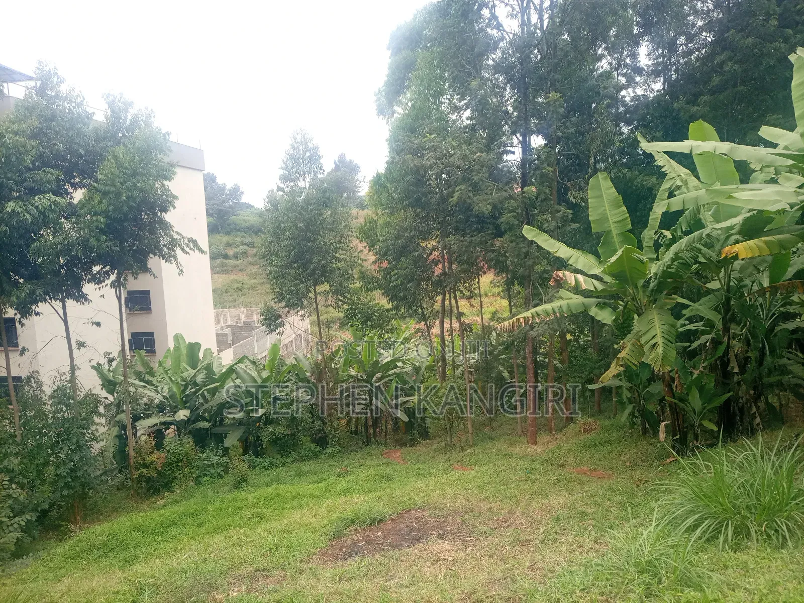 Residential/Commercial Plot