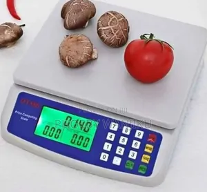 Digital Scale/Dt580 Digital Weigh Scale 30kgs