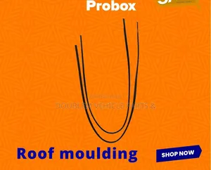 Roof Moulding Toyota Probox Dx 2005 Onwards Old Model