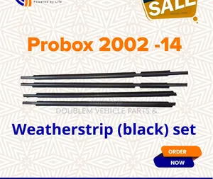 Weather Strip Toyota Probox  Dx 2002-2014 Old/New Model