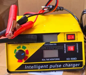 Interagent Battery Charger 12/24v