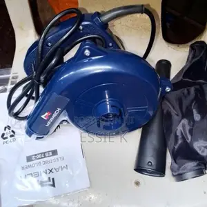 Electric Blower 700w