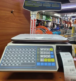 Commercial Digital Weighing Scale /Receipt Weighing Scale