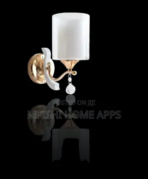 Modern Wall Sconce Light