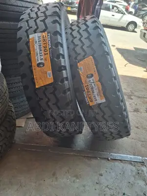 315/80r22.5 Tracmax
