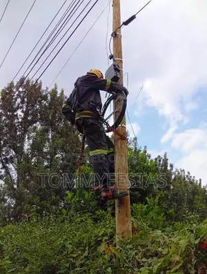 Fiber Technician