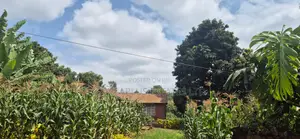 Prime 1⁄4-Acre Plot for Sale – Kabiria, Kes 15m