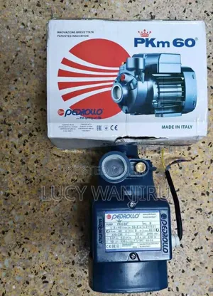 New Pedrollo Water Pump/ Electric Pedroll Booster Pump Pkm60