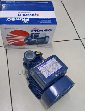 Pkm60 Pedrollo Water Pump/ Pedrollo Pump Machine