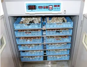 Egg Incubator!! 2112 Eggs .Egg Incubator