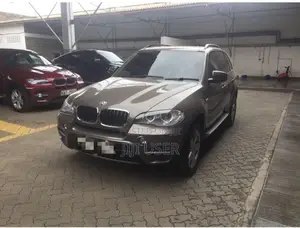 BMW X5 xDrive35i Sport Activity AWD (3.0L 6cyl 8A) 2013 Brown