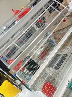 Chicken Cages (128 Chicken)