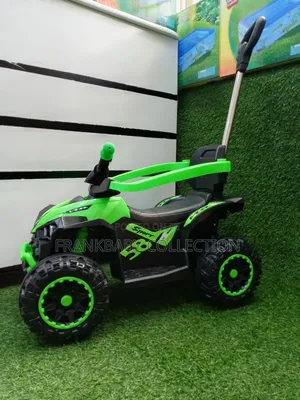 Parental Control Push Ride-on Car