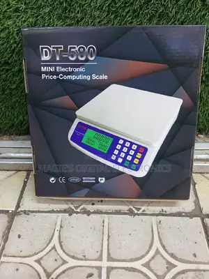 Commercial Standard 30kg Dt580 Price Computing Scale