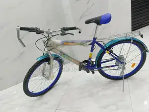Victory 2401 Bike 24 Inch Multi-Gear