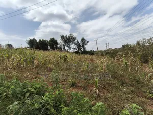 Half Acre Plot on Sale in Kibiku Touching Ngong-Suswa Road
