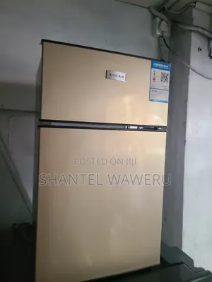 Niake Min Double Door Fridge