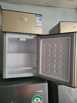 Niake Min Double Door Fridge