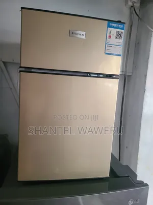 Niake Min Double Door Fridge