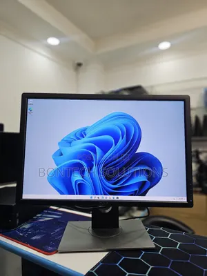Dell 24 Inch Monitor