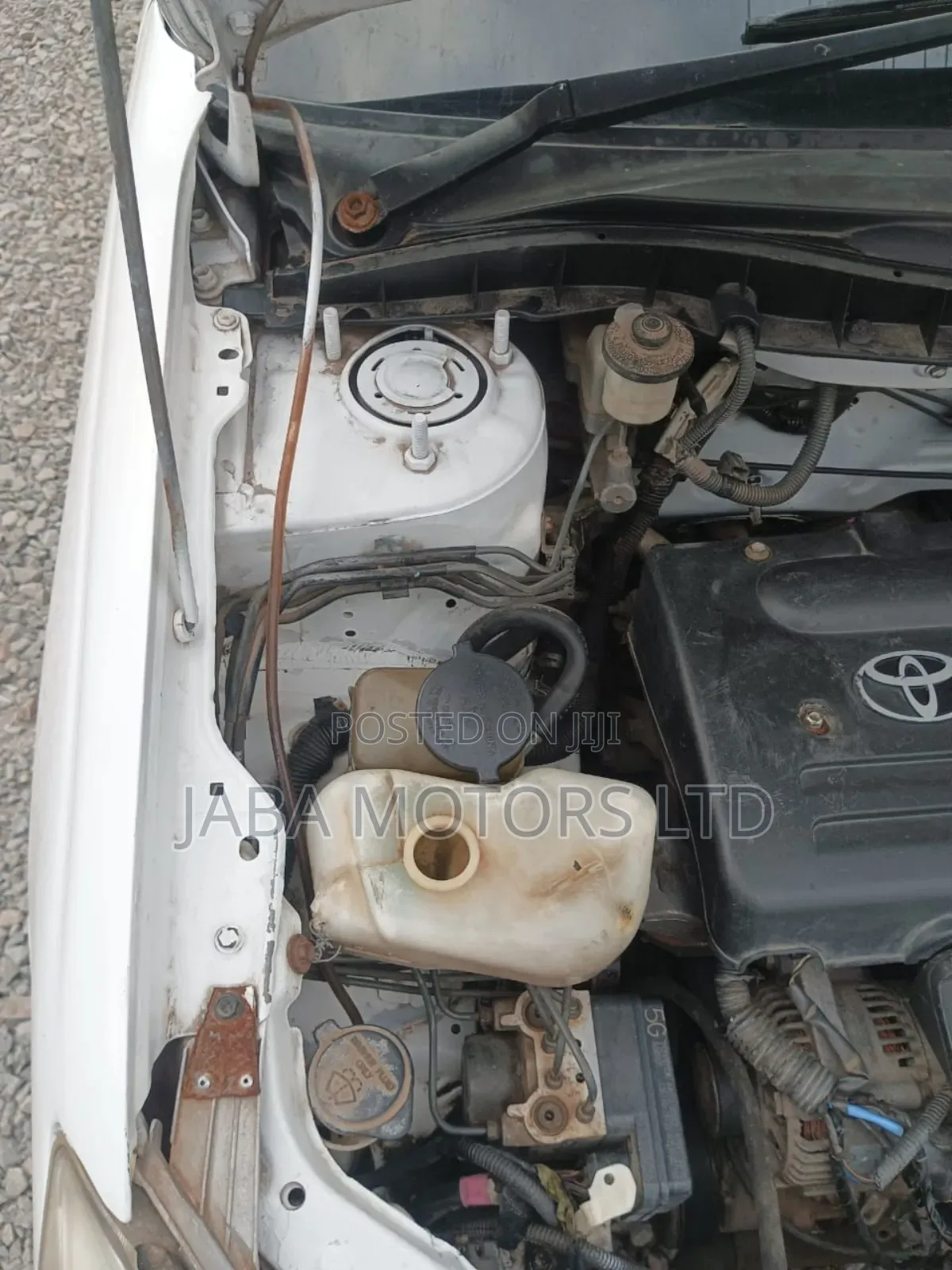 Toyota Premio 2003 White