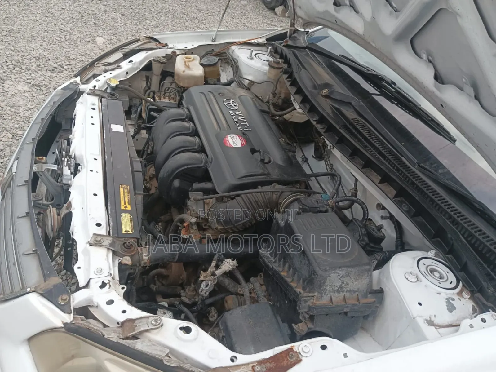 Toyota Premio 2003 White