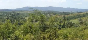 Land for Sale + 3 Bedroom House