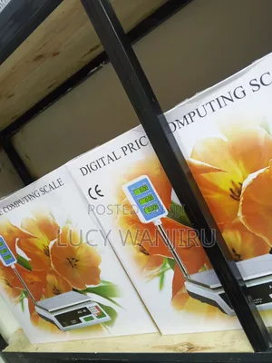 Digital Price Computing Scale/ Acs 40 Kg Hand Scale