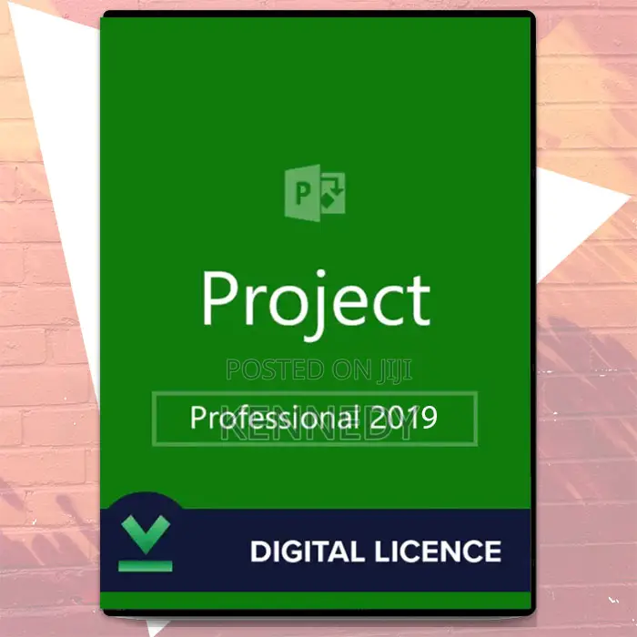 Ms Project Professional 2019