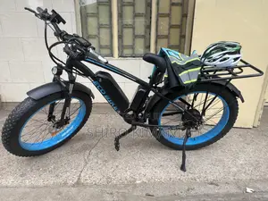Fat Tyre Electric Eco Bike Best