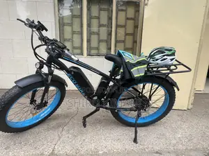 Electric Fat Tyre Eco Bike