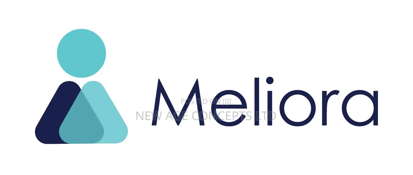 Corporate Identity Development