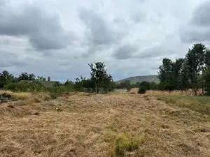 Sagana 1.1acre for Sale