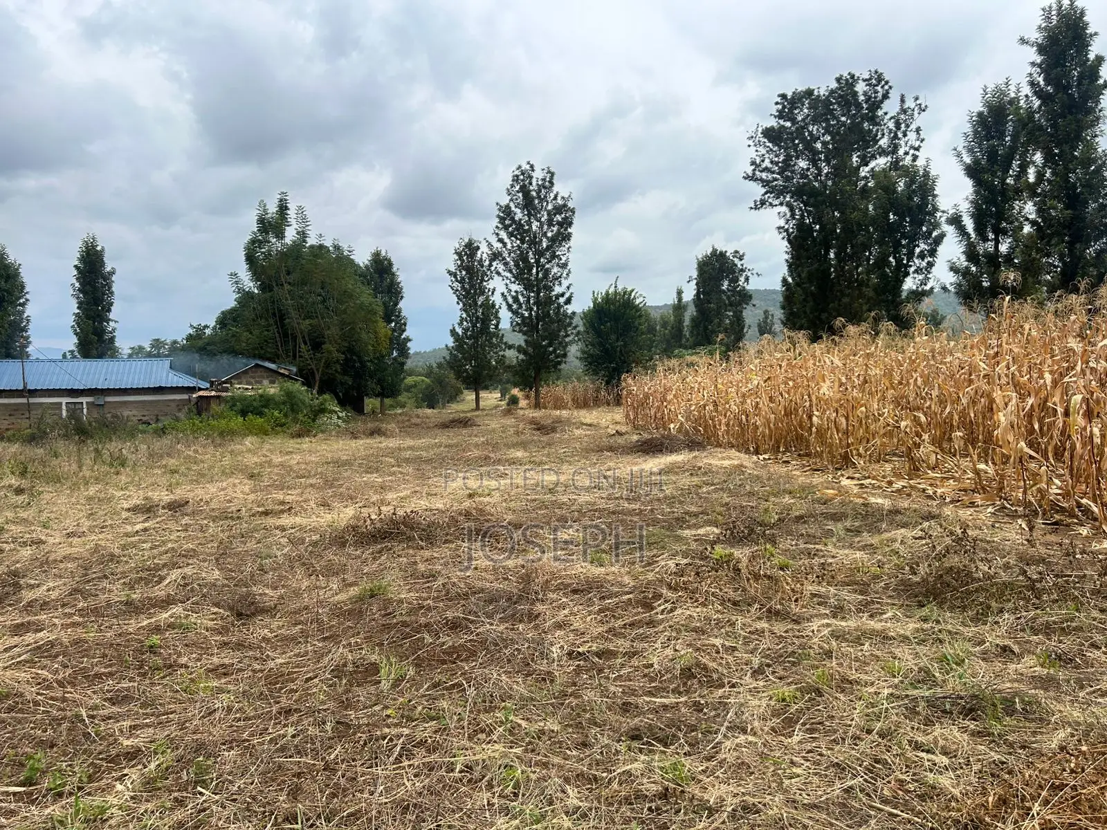 Sagana 1.1acre for Sale