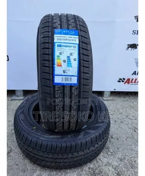 205/55r16 Fortune