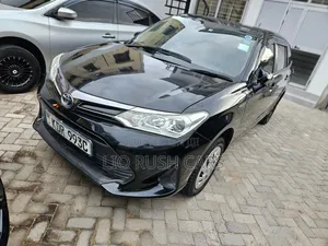 Toyota Corolla Fielder 2018 Black