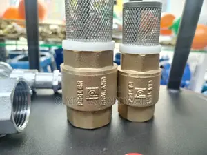 Foot Valve / Spring Valve