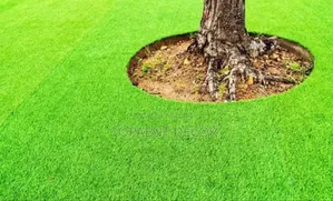 Kids Playground , Tenacious Green Artificial Grass Carpet