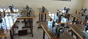 Butterfly/Swan/Singer Manual Machine