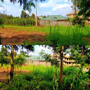Kikuyu Thamanda Prime Plot