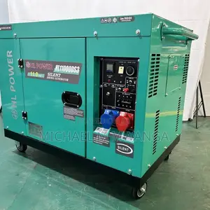 Electric Start Hl11000ds Generator
