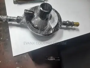 LPG Gas Pressure Regulator