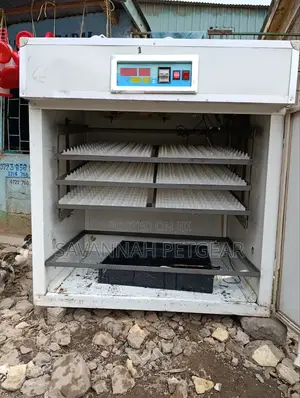 Used in Good Condition 528eggs Fully Automatic Egg Incubator