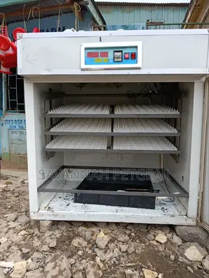 Used in Good Condition 528eggs Fully Automatic Egg Incubator