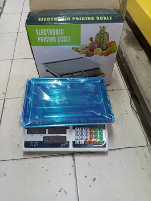 Highly Recommend 30kg Pricing Scale