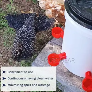 Automatic Chicken, Quail Waterer Cups, Waterer Feeder - 6pcs