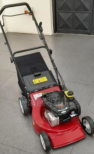 Gasoline Lawn Mower/Brigg and Stratton