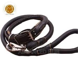 Complete Easy Grip Leather Dog Colar and Leash